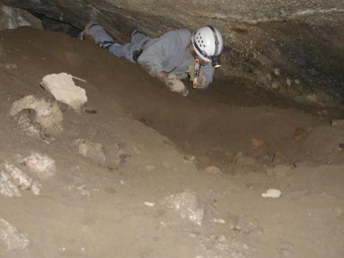OLYMPUS_DIGITAL_CAMERA