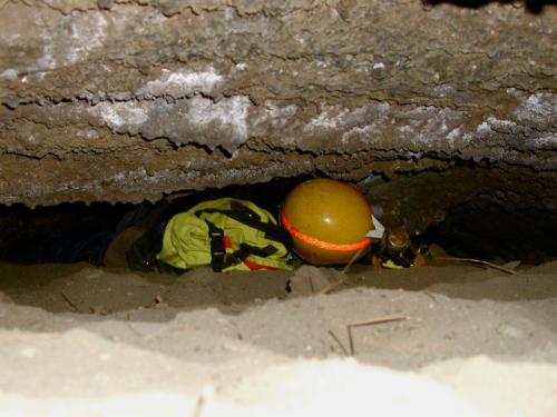 Wedged